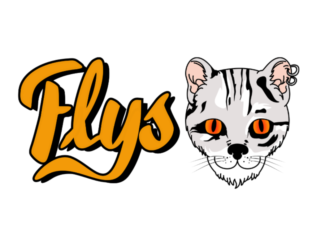 Flys